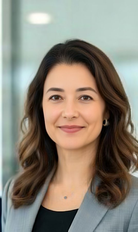 Lisa Nguyen — Senior Editor at American Media Collective