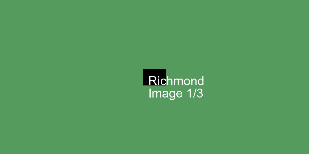 Richmond precinct